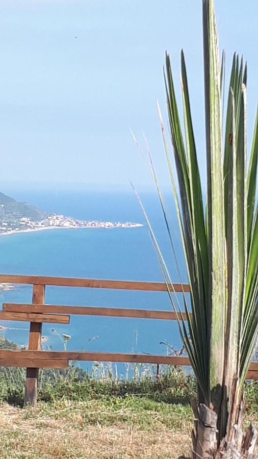 Tenuta Belvedere Cilento *